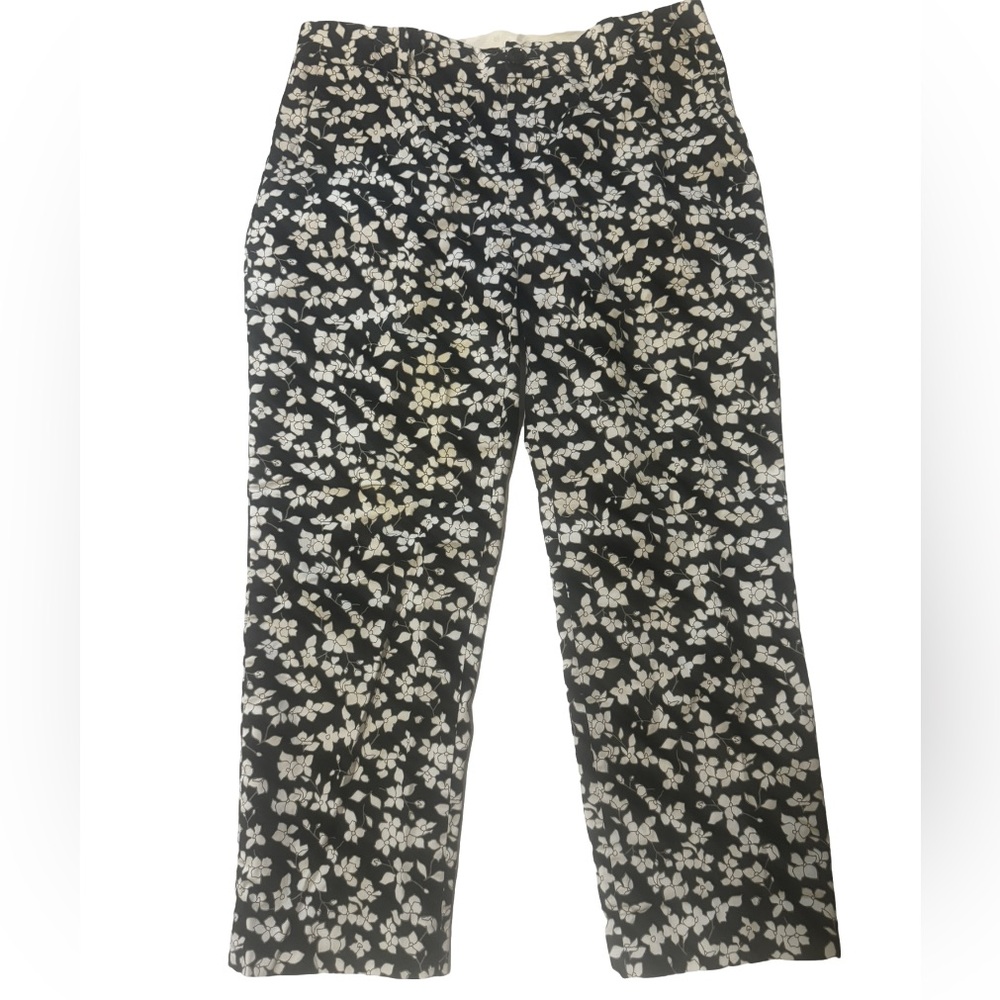 Banana Republic Women’s Hampton Pants 10